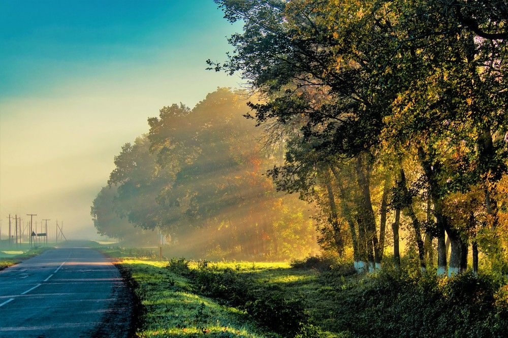 Photograph by Алексей Сиваков