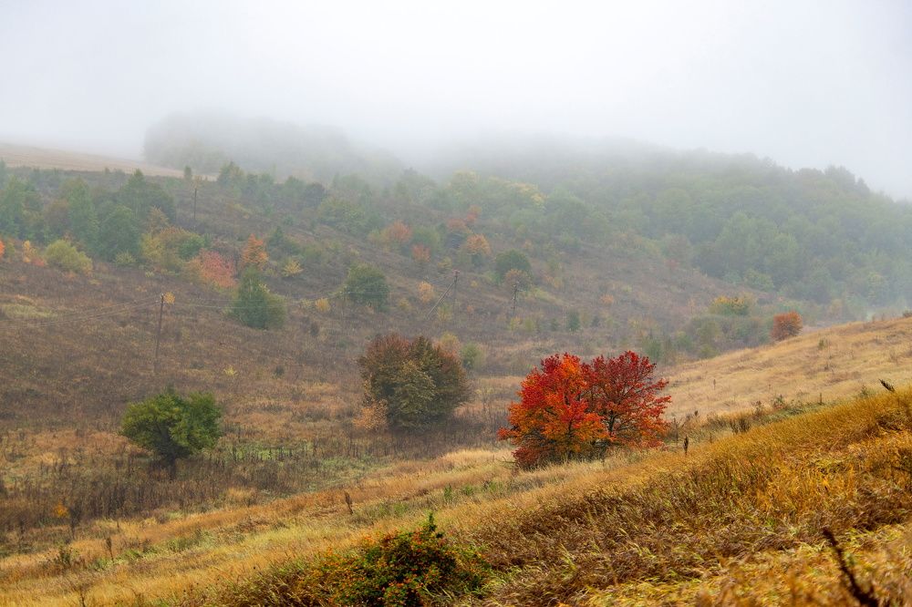 Photograph by Алексей Сиваков