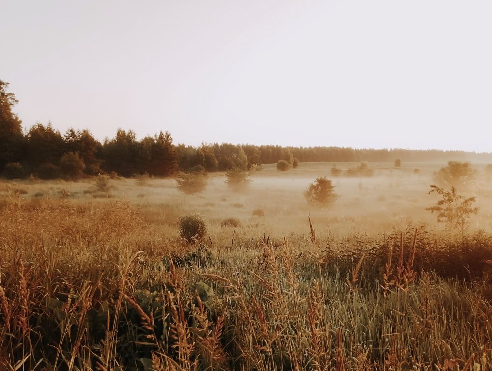 Photograph by Ольга Барковская