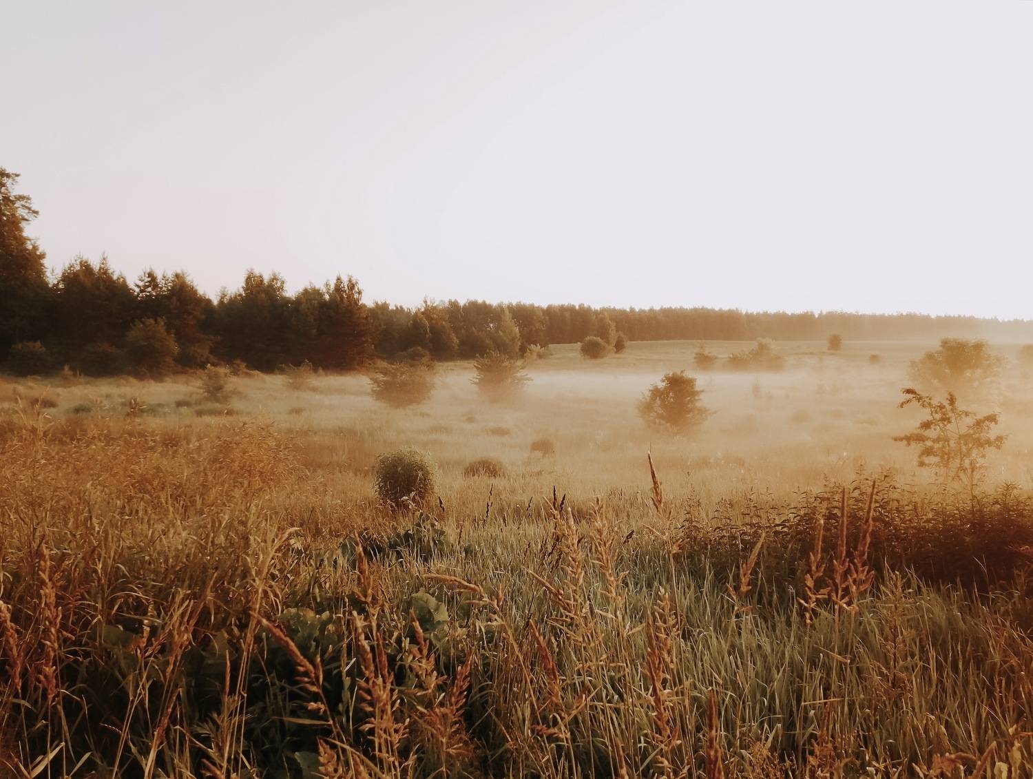 Photo #9268364