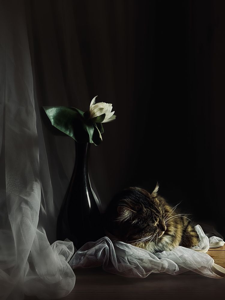 Photograph by Ольга Барковская