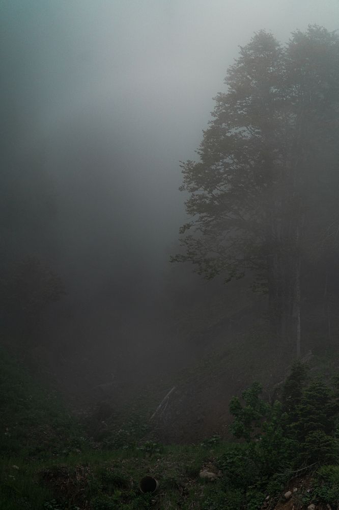 Photograph by Иван Новиков