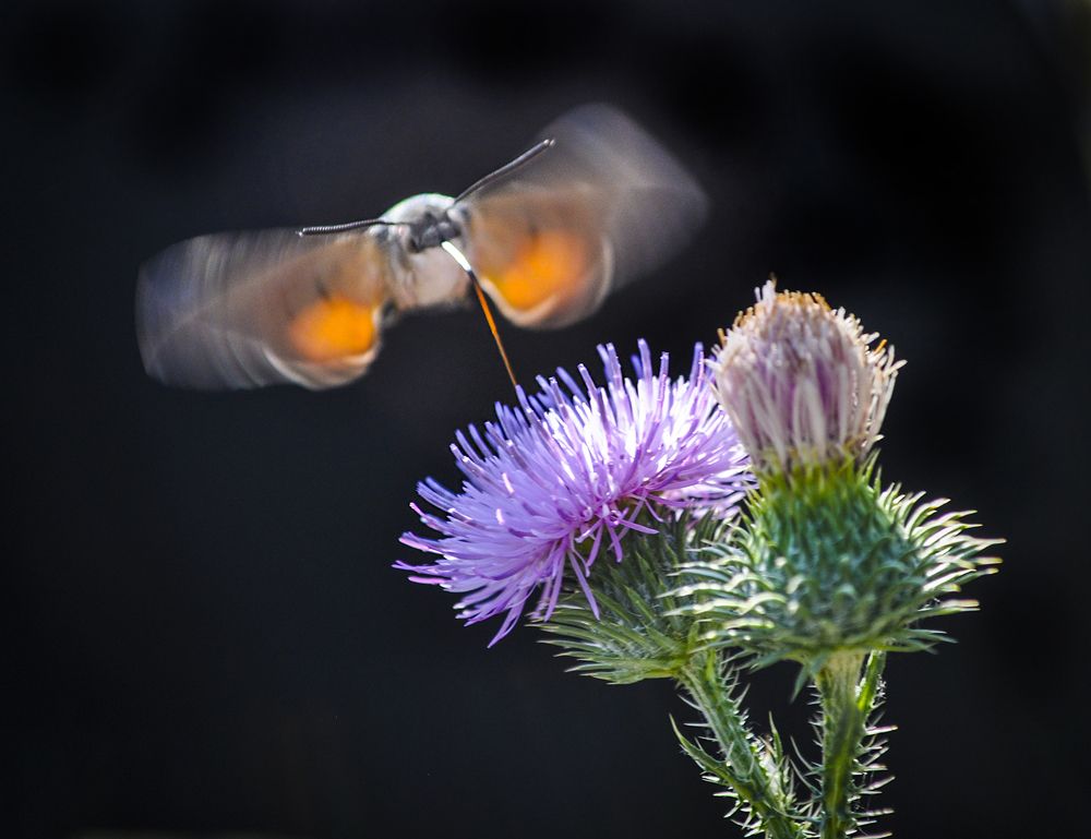 Photograph by Валерий Рябцев