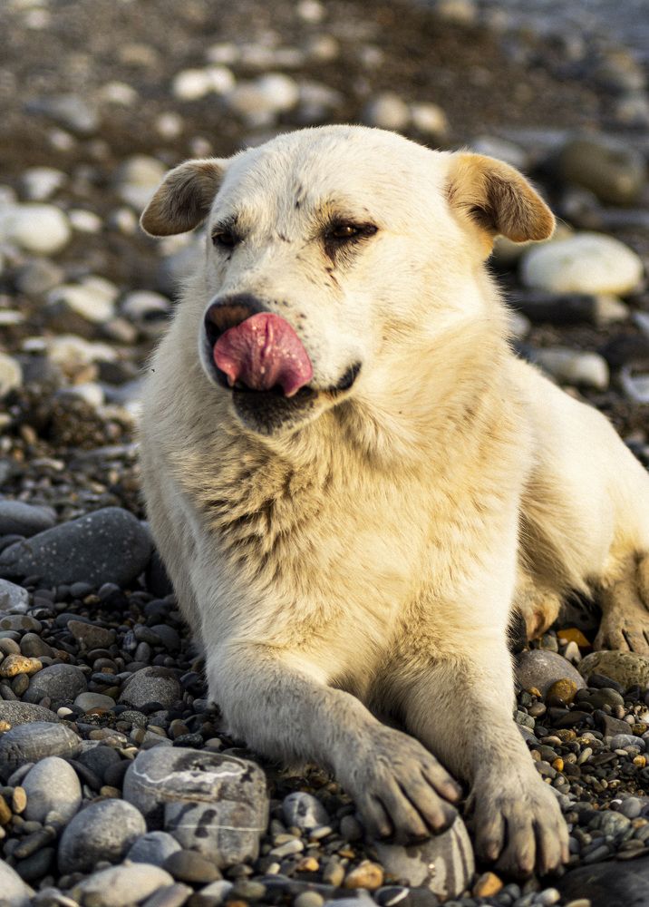 Photograph by Galina