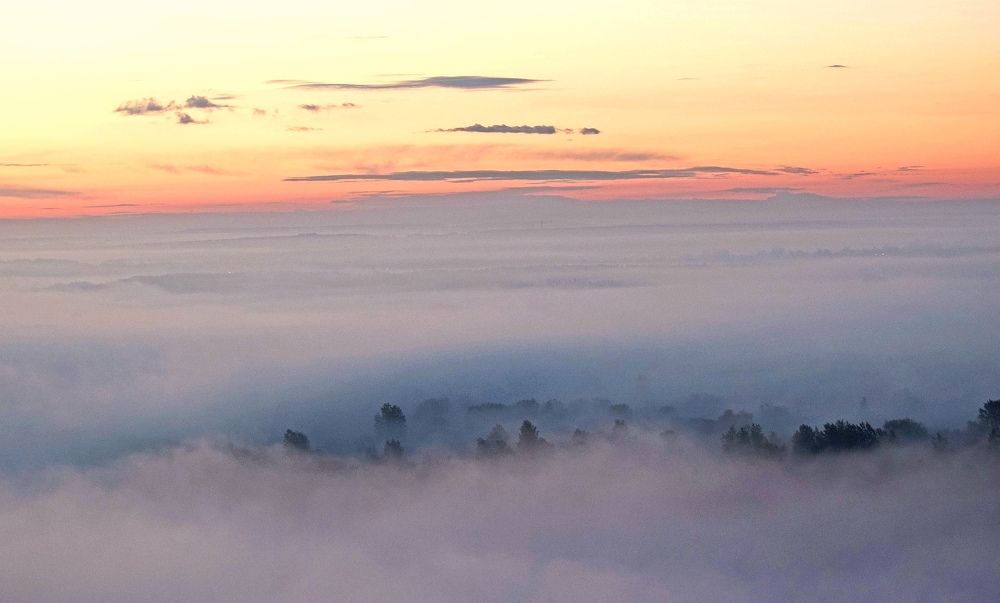 Photograph by Ольга