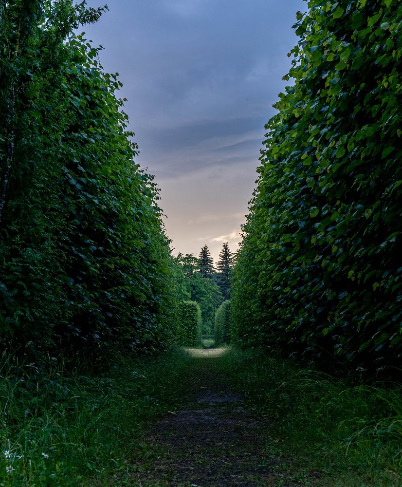 Photograph by Иван Даниилович