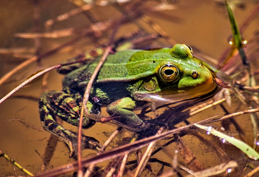 Photograph by Алексей Сиваков
