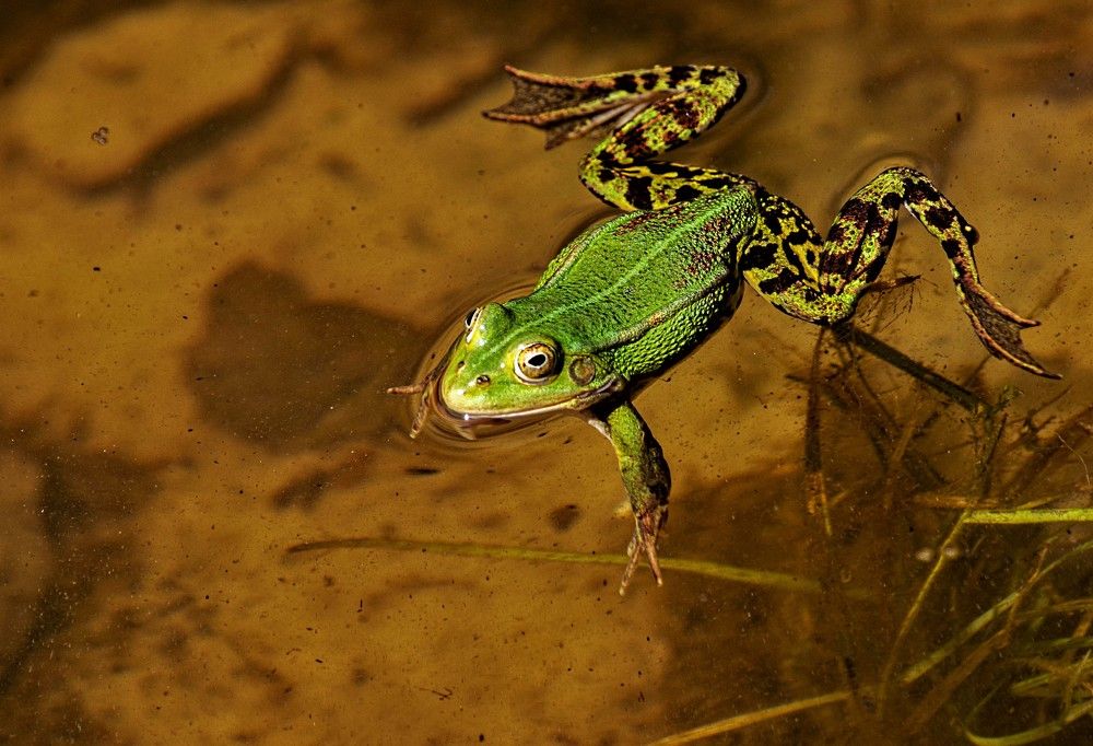 Photograph by Алексей Сиваков