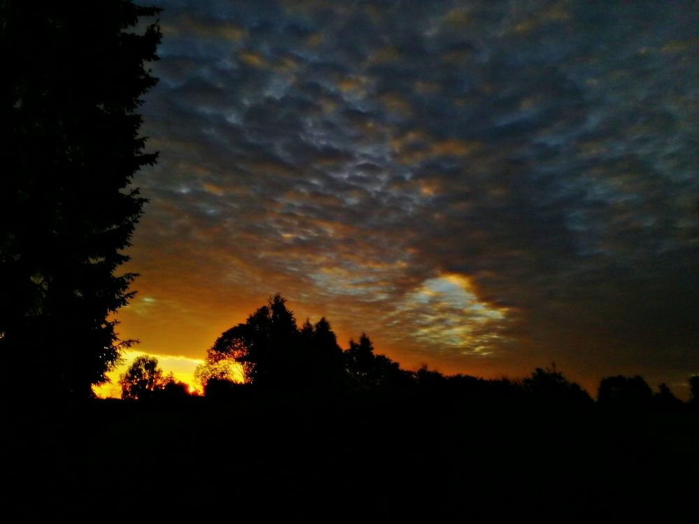 Photograph by Дарья Ермакова