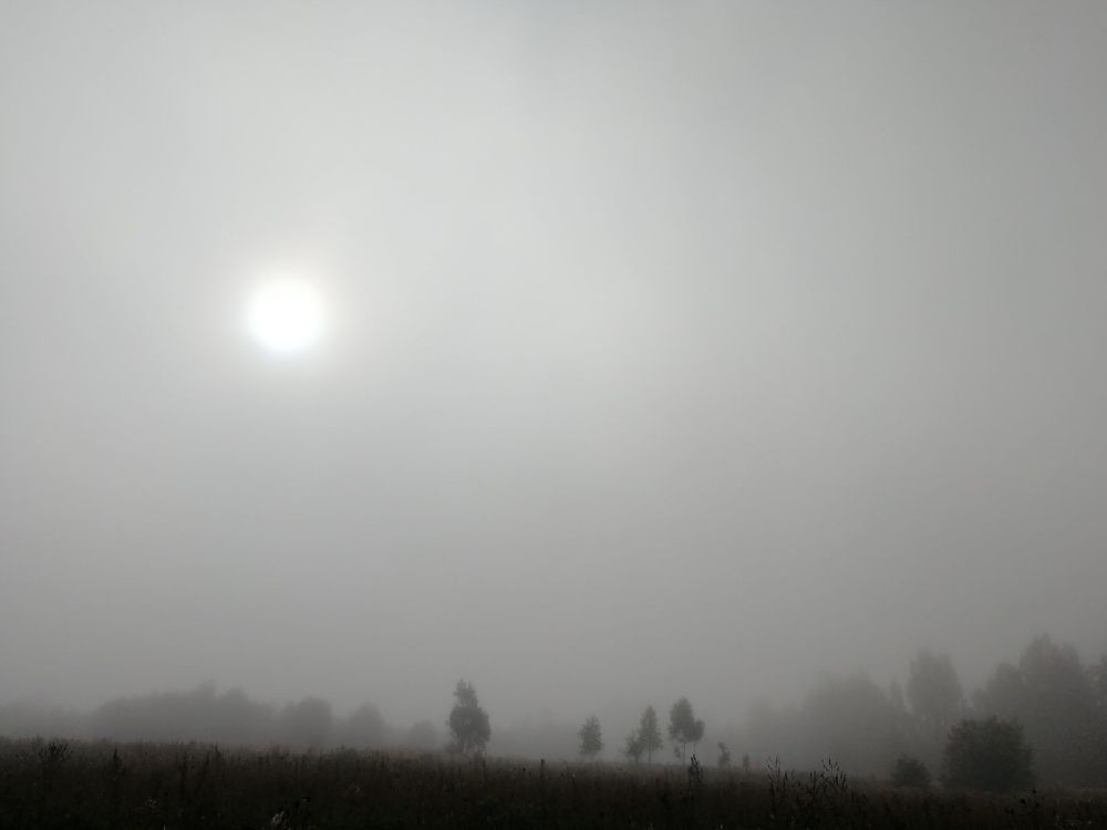 Photograph by Дарья Ермакова