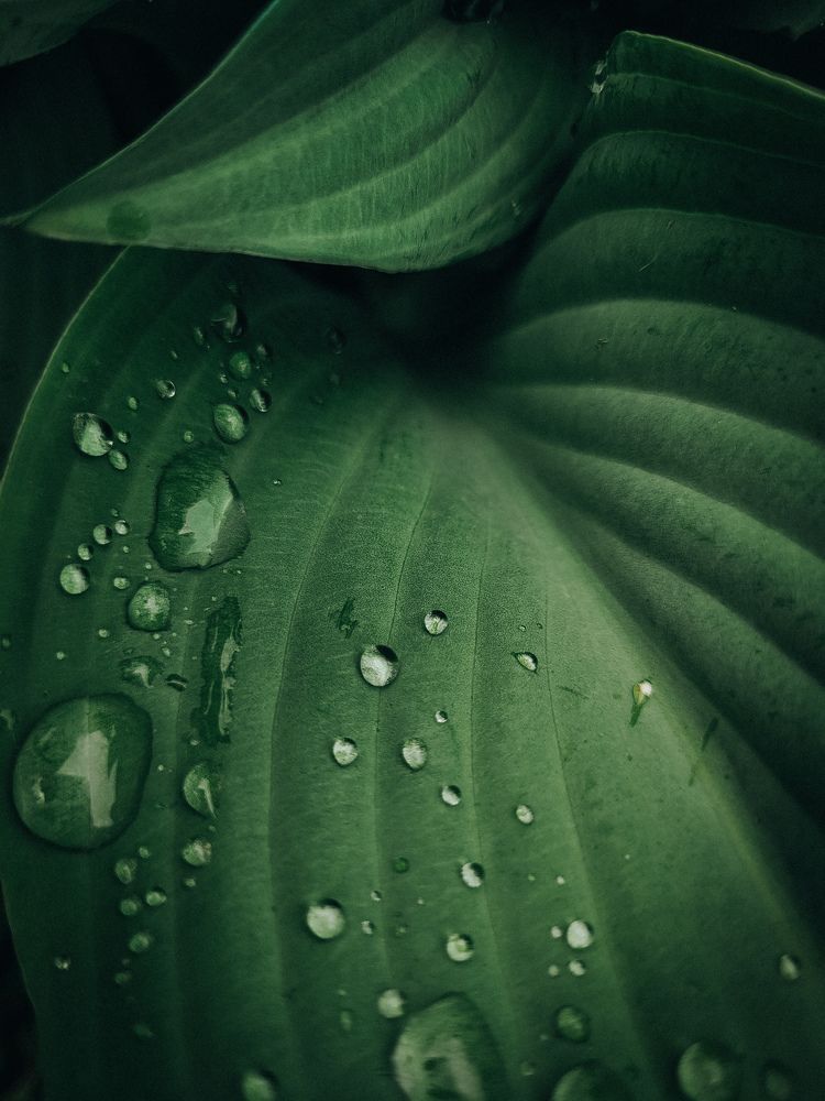 Photograph by Валерия Гуртовая