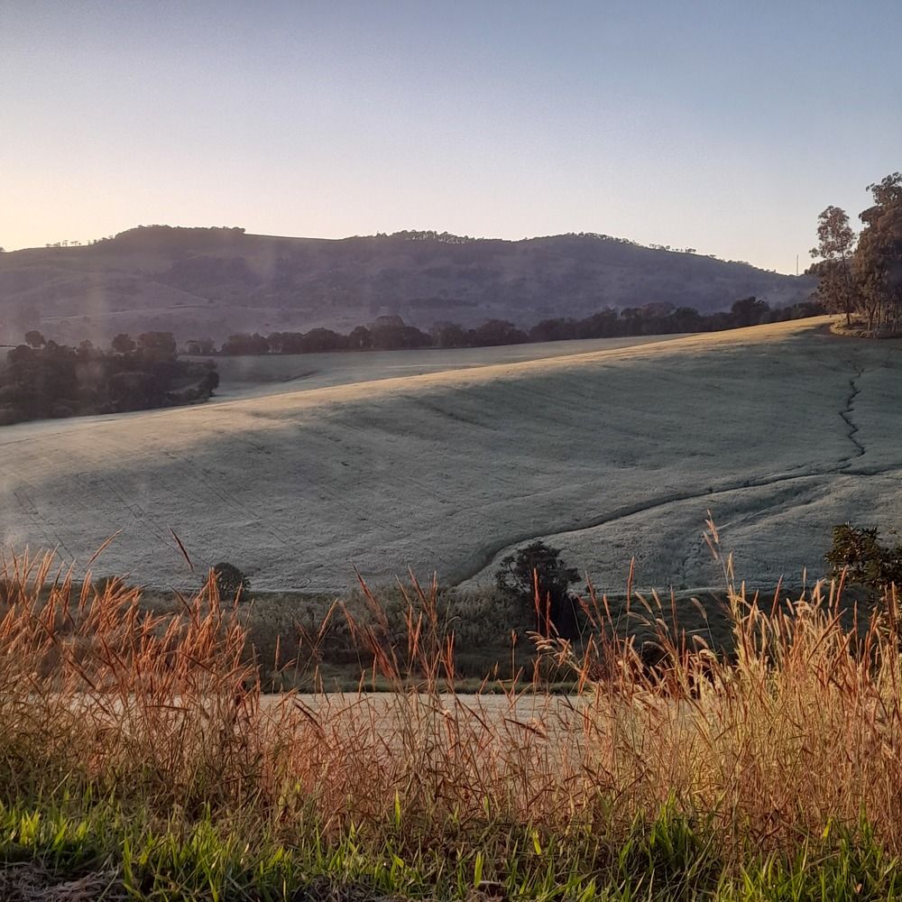 Photo #9268784