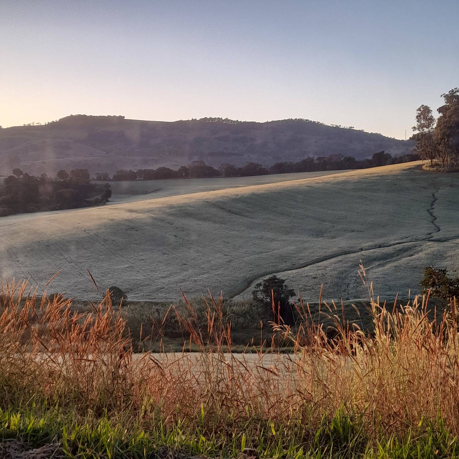 Photo #9268784