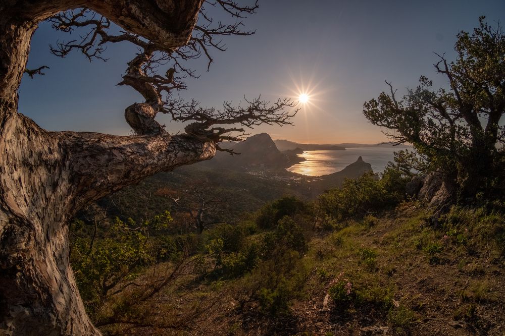 Фотография автора Наталия Разумова