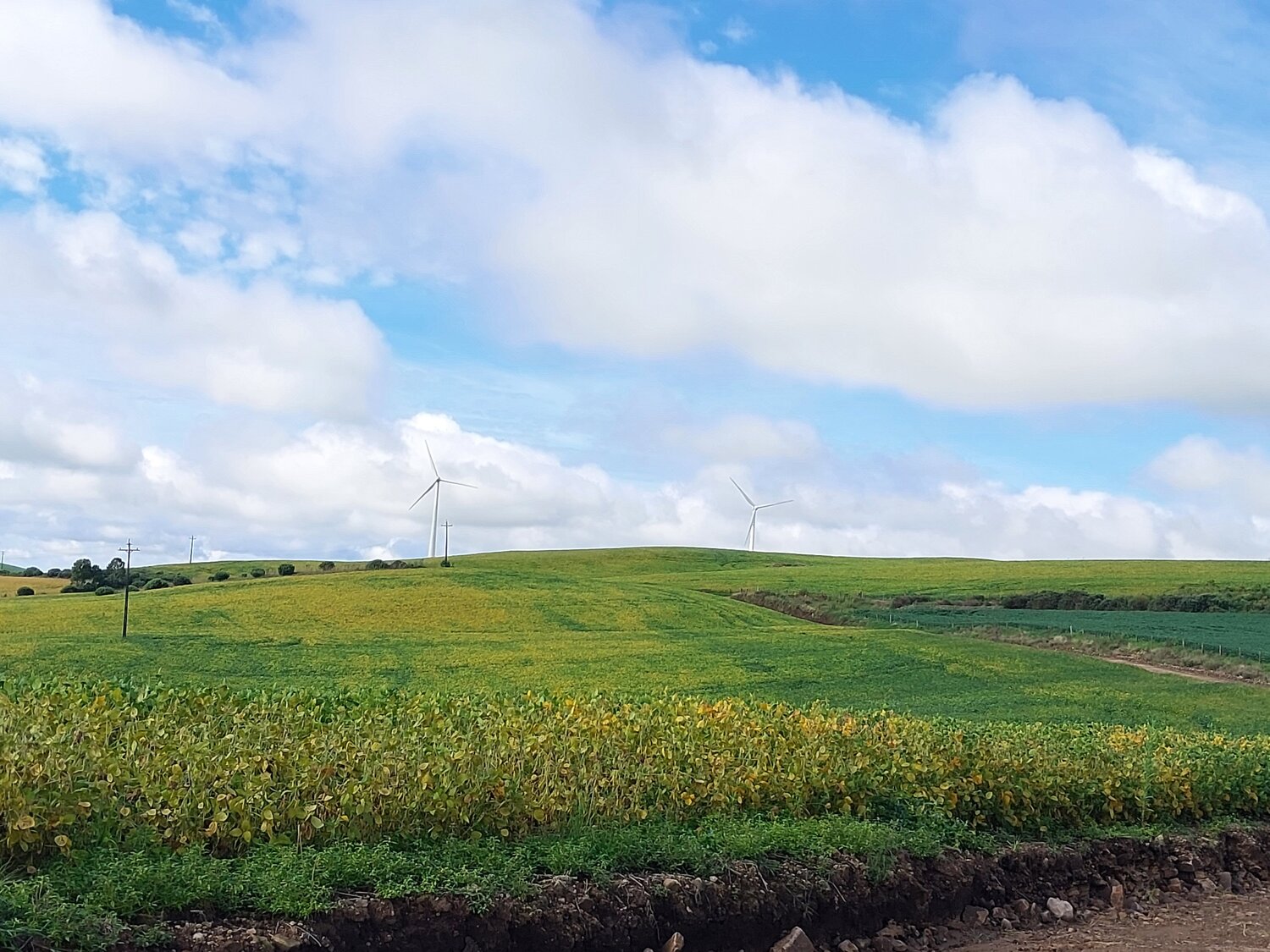 Photo #9268829