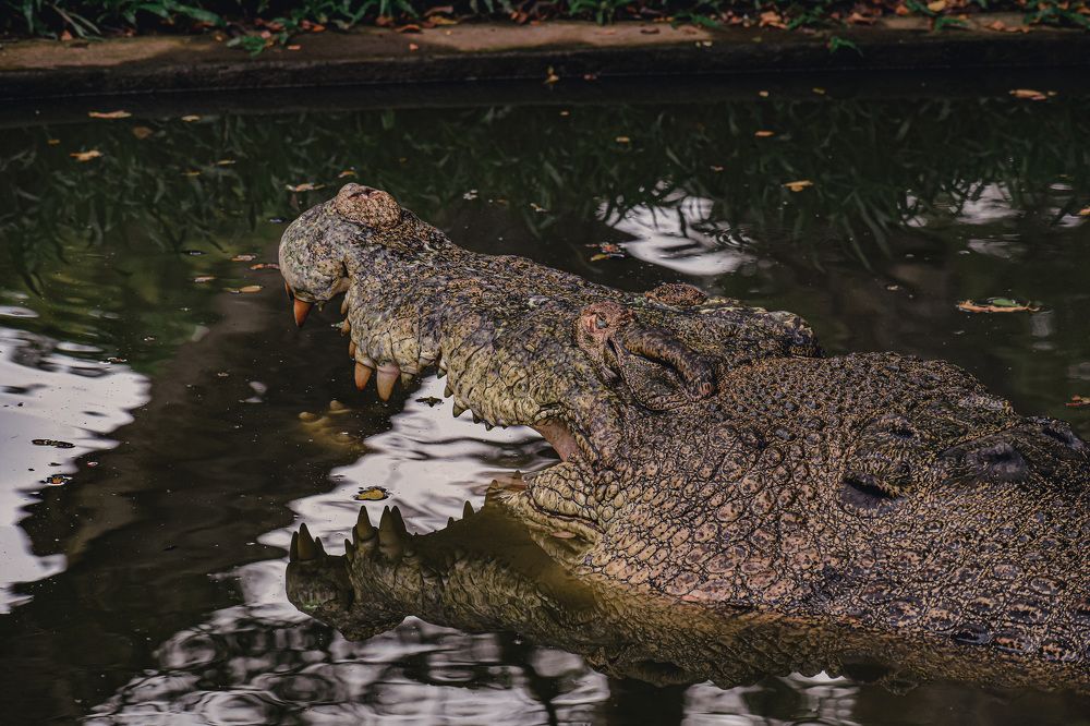 Photograph by Yannah Tekwie