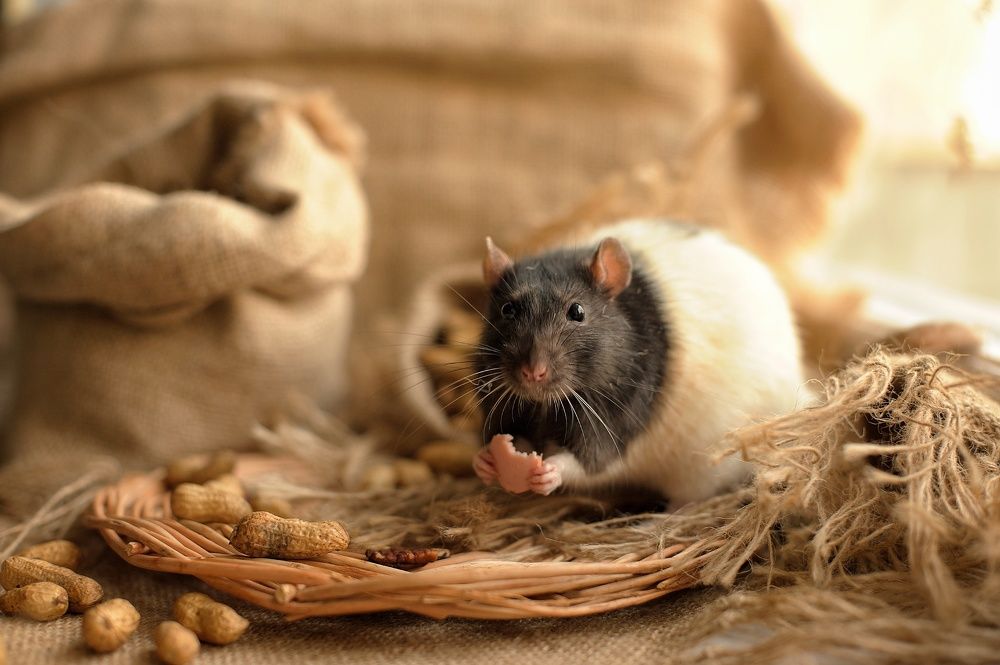 Photograph by Щинова Юлия