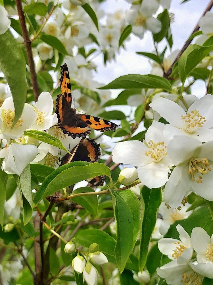 Photograph by Лилия Нурова