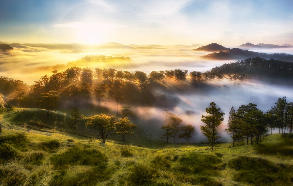 Photograph by Tran Khoa