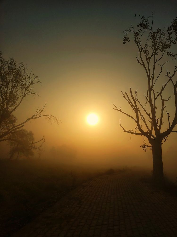 Photograph by prashant bamnawat