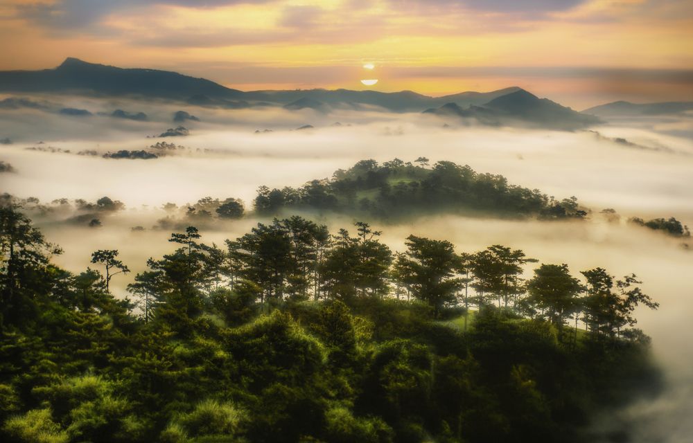 Photograph by Tran Khoa