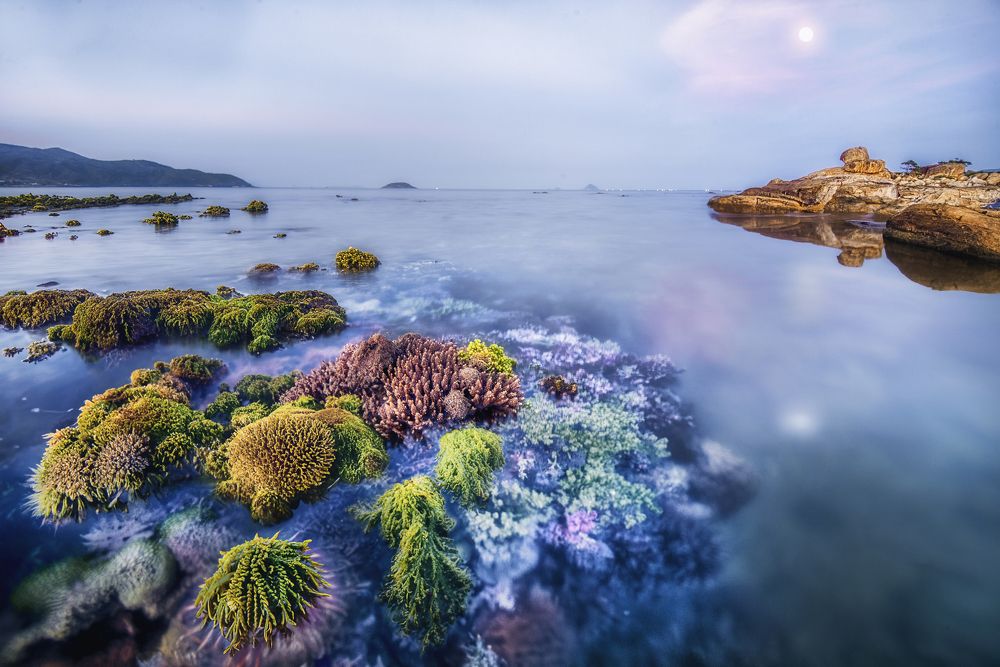 Photograph by Tran Khoa