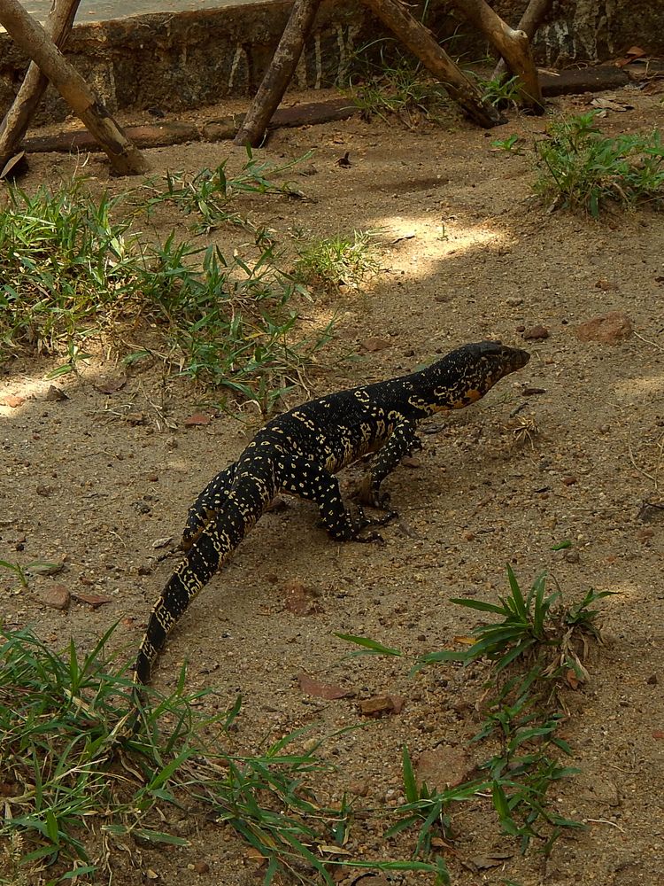 Photograph by Deiltora