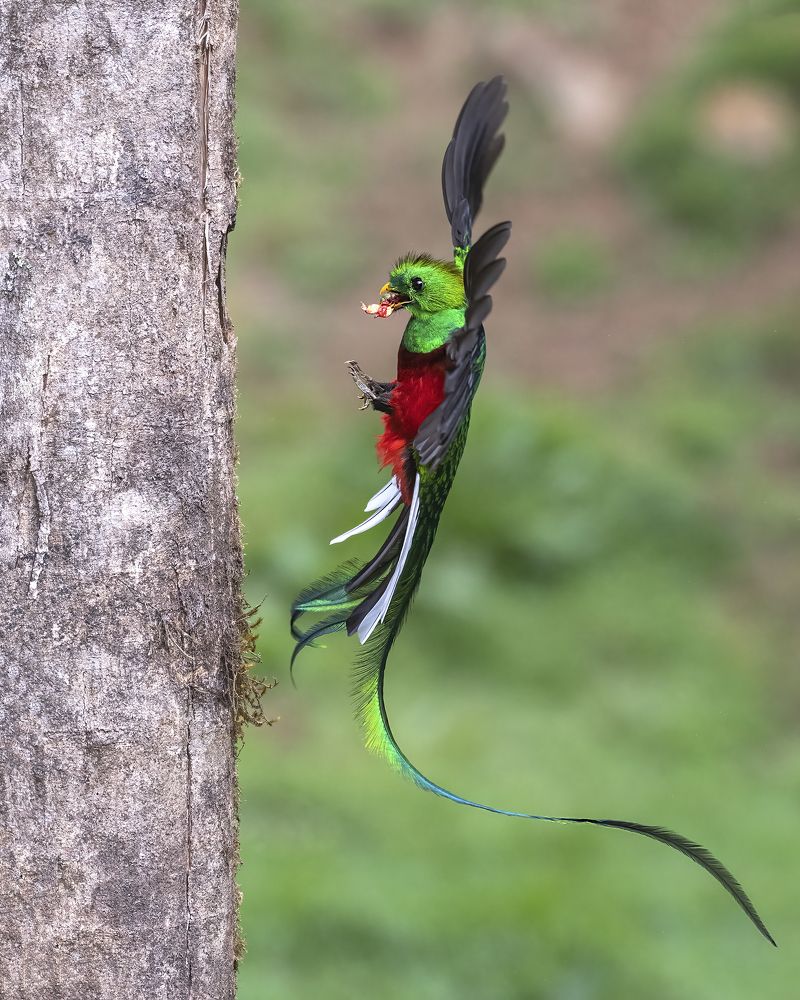 Photograph by Nitin Mehendale