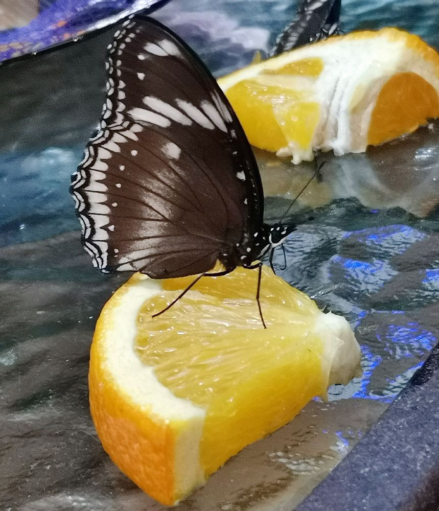 Фотография автора АЛЕКСАНДР ЦЫГЕЛЬНЮК