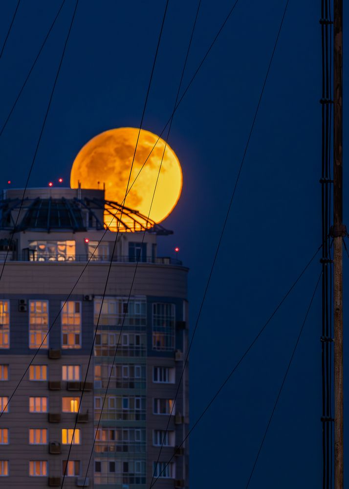 Photograph by Юлия Калугина