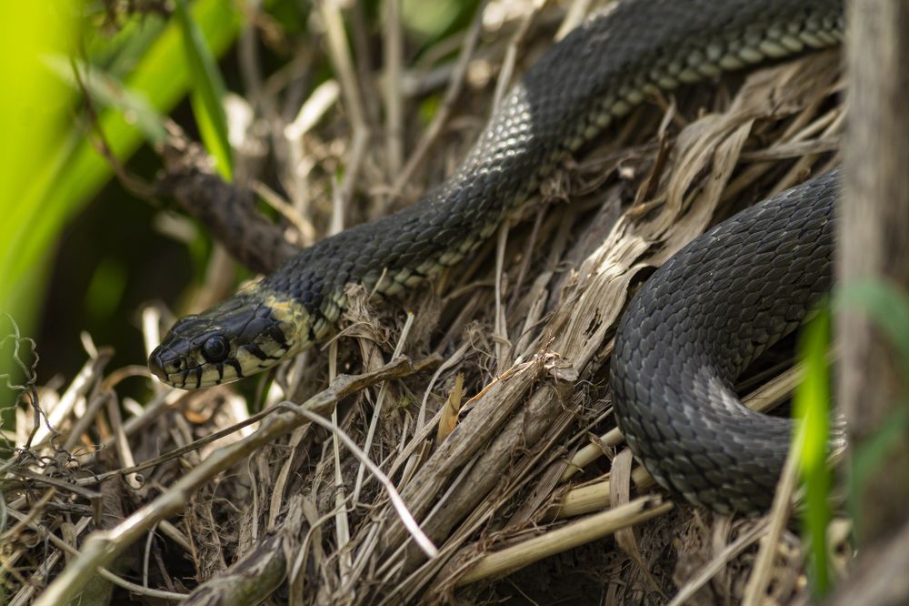 Photograph by Ольга Крючкова