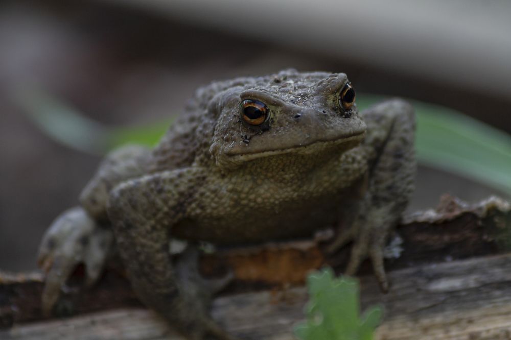 Photograph by Ольга Крючкова