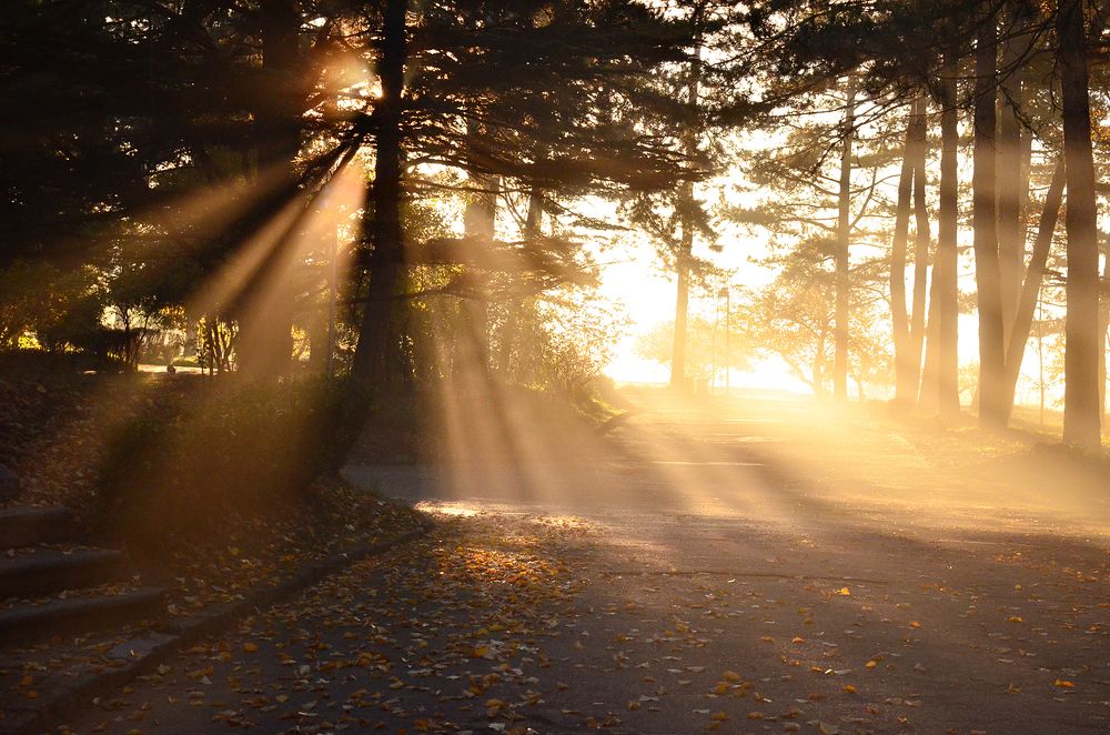 Фотография автора Алла Кожевникова