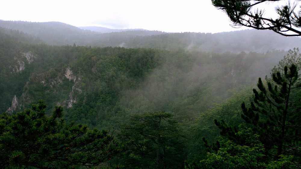 Photograph by Marija Milosavljevic