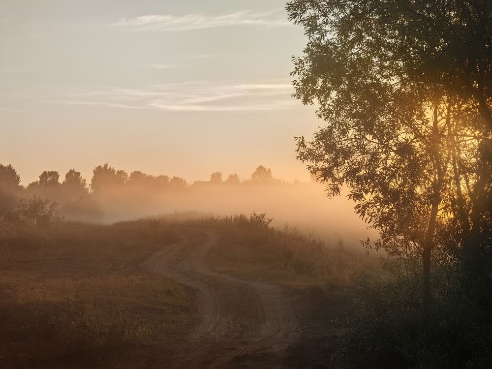 Photograph by Alexandr