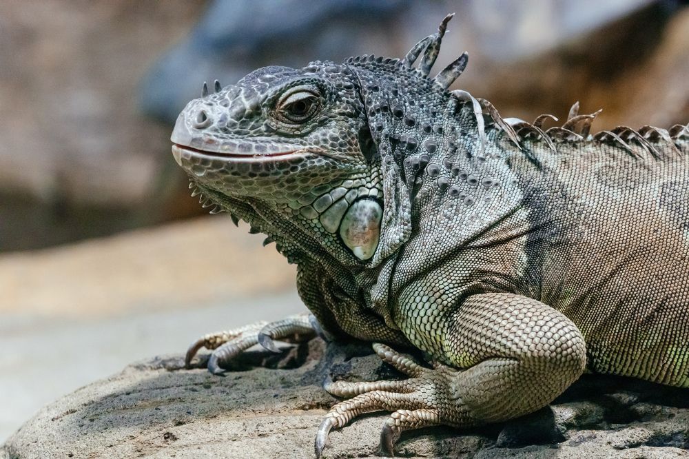 Photograph by Корчагина Оксана