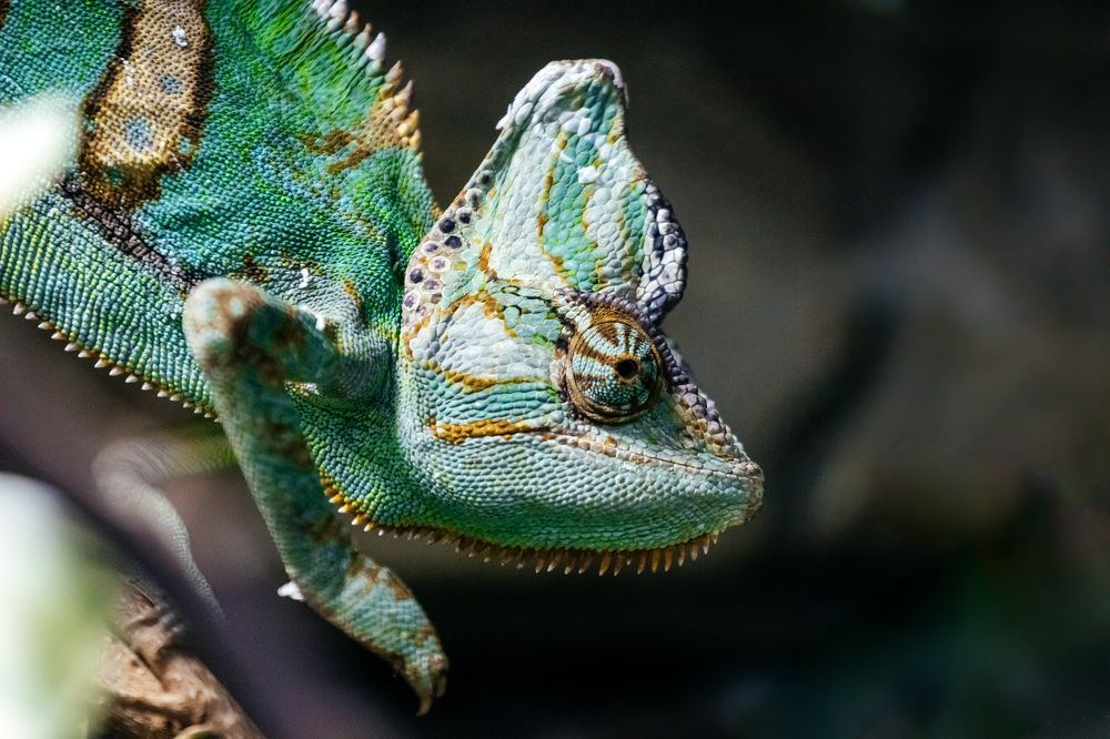 Photograph by Корчагина Оксана