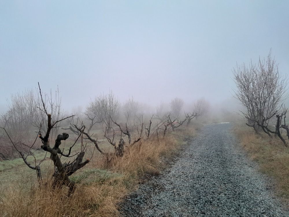 Photograph by Татьяна Ситникова