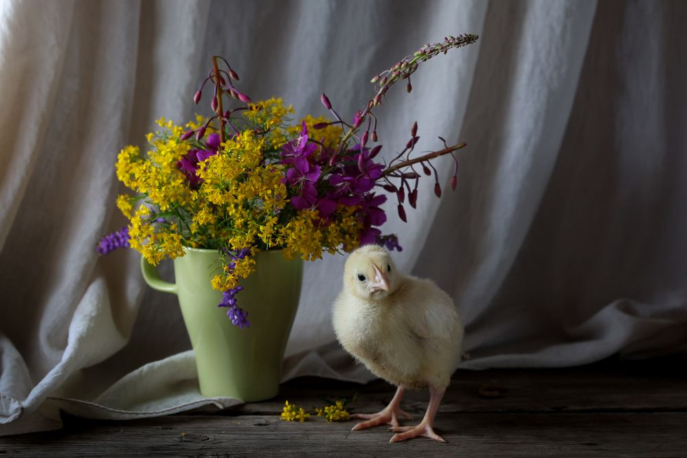 Photograph by Людмила Аксенова