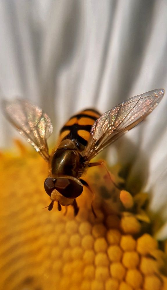 Photograph by Наталия Игоревна