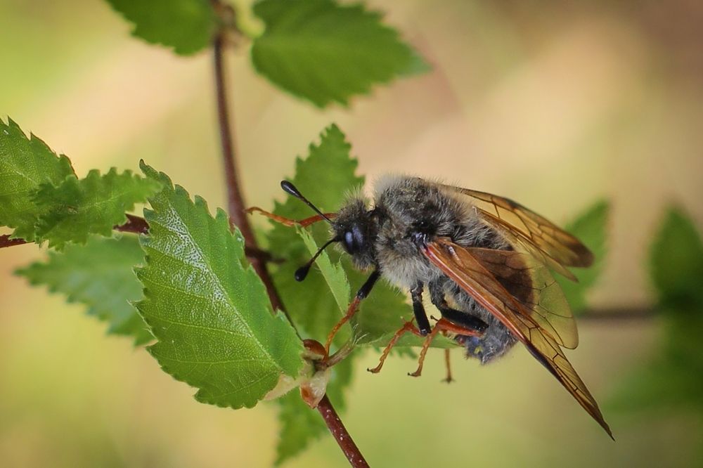 Photograph by Ольга Чазова