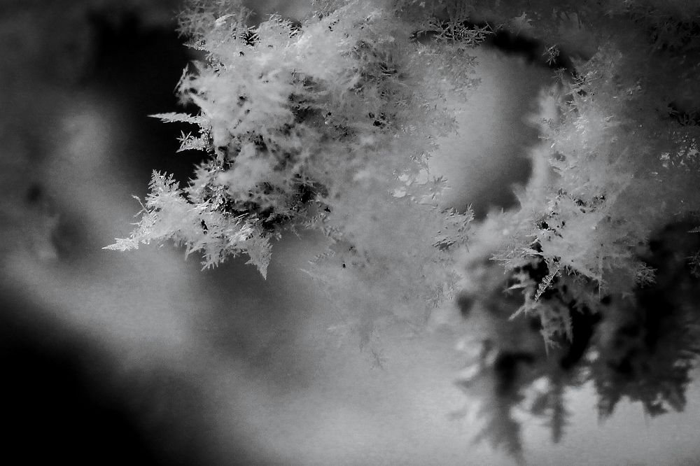 Photograph by Ольга Чазова