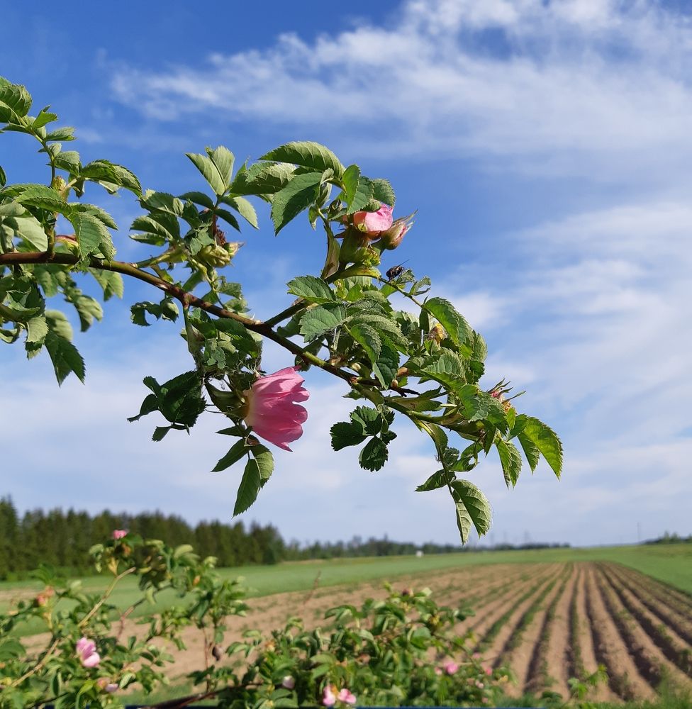 Фотография автора Ирина Лукьянчик