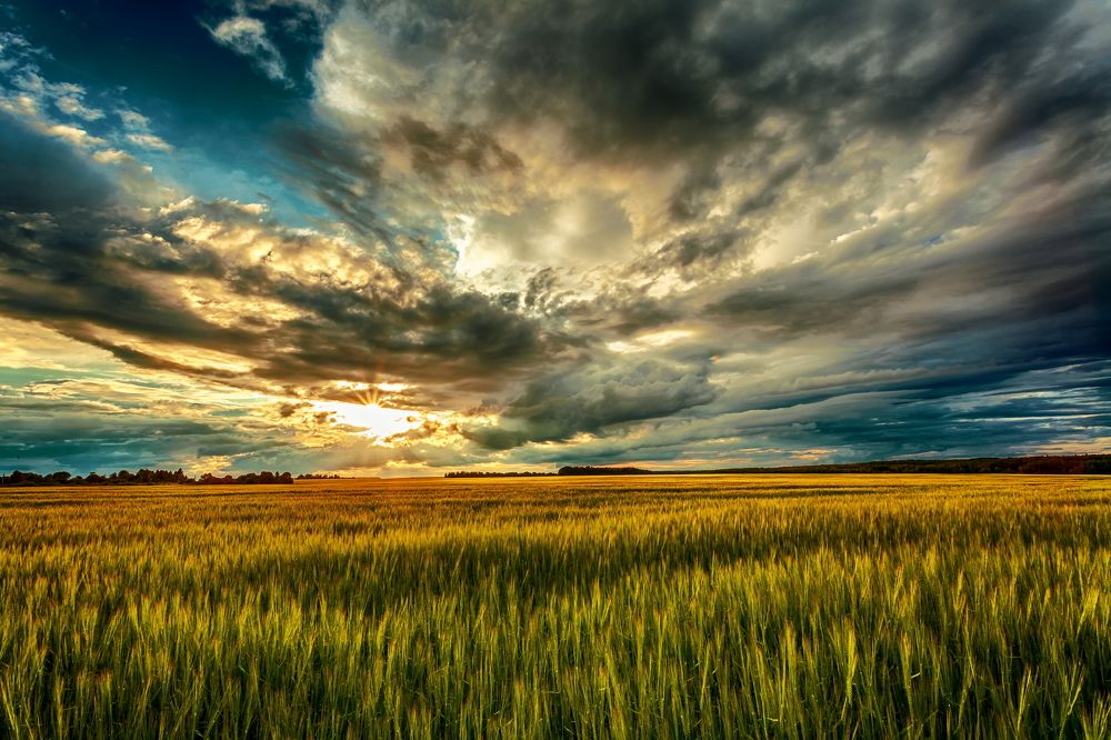 Photograph by Сундеев Дмитрий