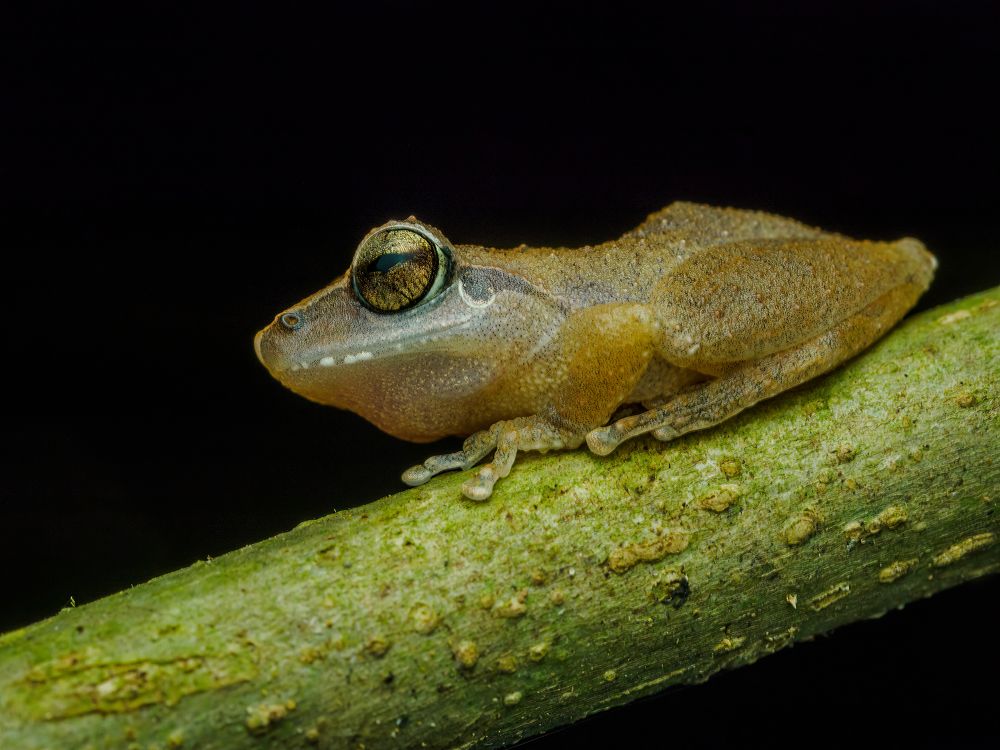 Photograph by Venkat Mangudi