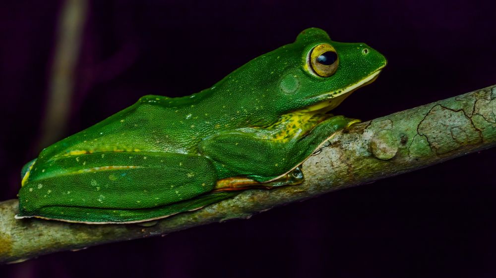 Photograph by Venkat Mangudi