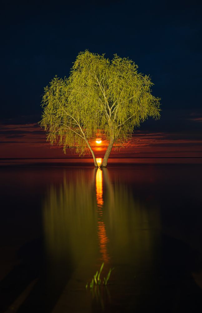 Photograph by Александр Парамонов