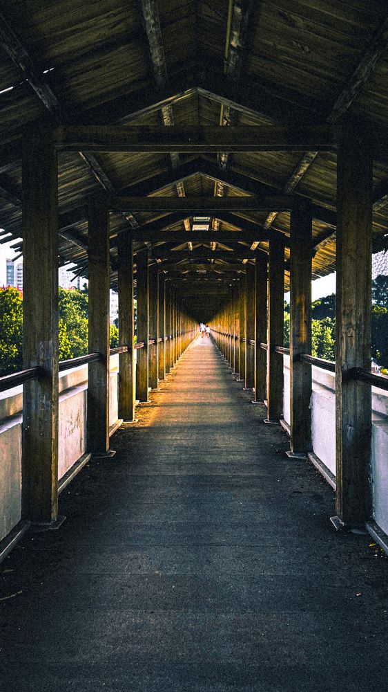 Photograph by Татьяна Санеева