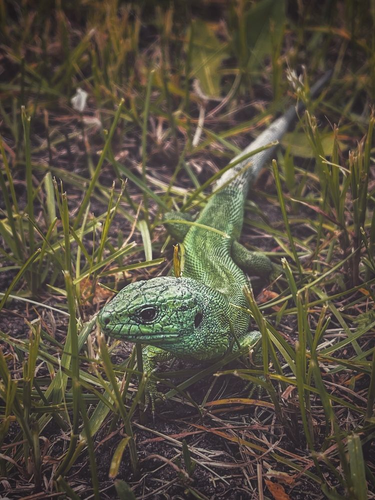 Photograph by Виктория Селютина