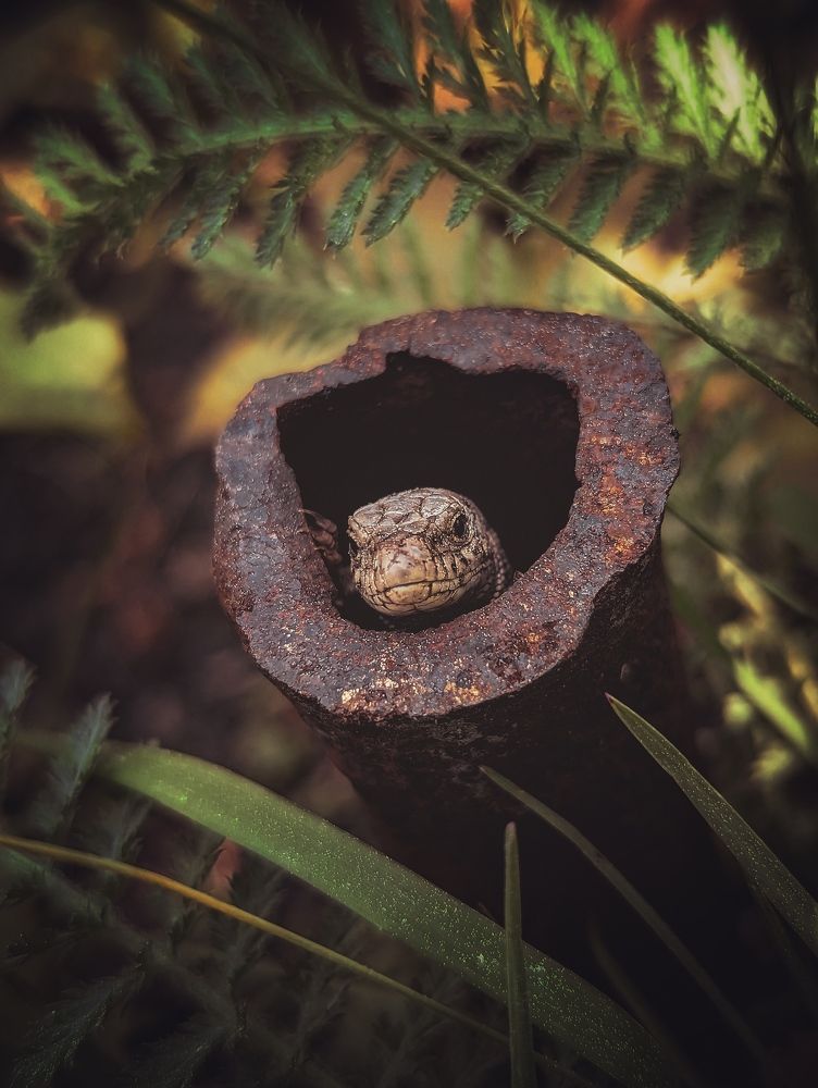 Photograph by Виктория Селютина